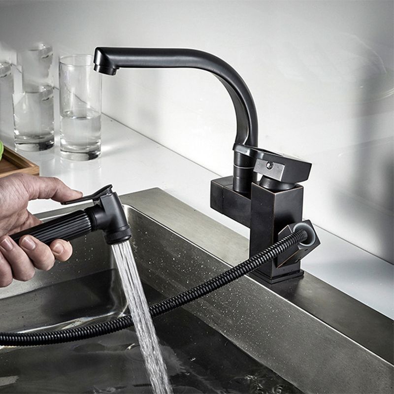 Traditional 1-Handle Faucet with Water Dispenser Standard Kitchen Faucet Clearhalo 'Home Improvement' 'home_improvement' 'home_improvement_kitchen_faucets' 'Kitchen Faucets' 'Kitchen Remodel & Kitchen Fixtures' 'Kitchen Sinks & Faucet Components' 'kitchen_faucets' 1200x1200_4f512ceb-5be6-4d97-8674-0fb6a11e4ac7