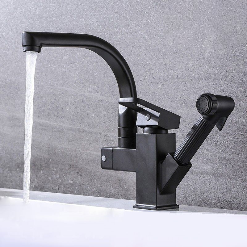 Traditional 1-Handle Faucet with Water Dispenser Standard Kitchen Faucet Clearhalo 'Home Improvement' 'home_improvement' 'home_improvement_kitchen_faucets' 'Kitchen Faucets' 'Kitchen Remodel & Kitchen Fixtures' 'Kitchen Sinks & Faucet Components' 'kitchen_faucets' 1200x1200_4fb6559d-a89c-4979-b26c-9e54eef5d48d