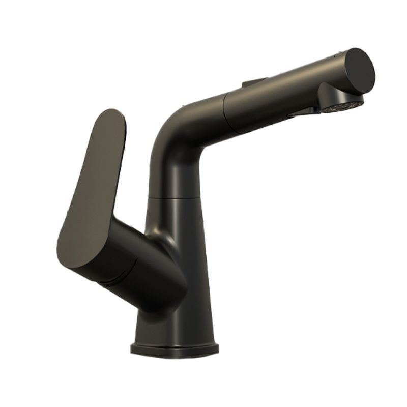 Swivel Spout Vessel Sink Faucet Lever Handle with Pull Out Sprayer Clearhalo 'bathroom_sink_faucets' 'Conjunta de Baño y Conjunta de Grifo' 'Coronamiento de Baño y Dispositivo de Baño' 'Grifo del lavabo del baño' 'Hogar' 'home_improvement' 'home_improvement_bathroom_sink_faucets' 'Mejoras para el hogar' 1200x1200_50b21848-0153-4aea-8a2e-f58443f4a8fc