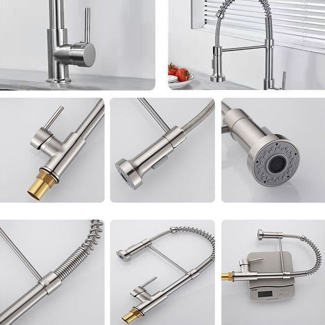 1-Handle Faucets with Water Dispenser Spring Spout Standard Kitchen Faucets Clearhalo 'Home Improvement' 'home_improvement' 'home_improvement_kitchen_faucets' 'Kitchen Faucets' 'Kitchen Remodel & Kitchen Fixtures' 'Kitchen Sinks & Faucet Components' 'kitchen_faucets' 1200x1200_51489838-b75c-4cac-998d-35e821f7b90b