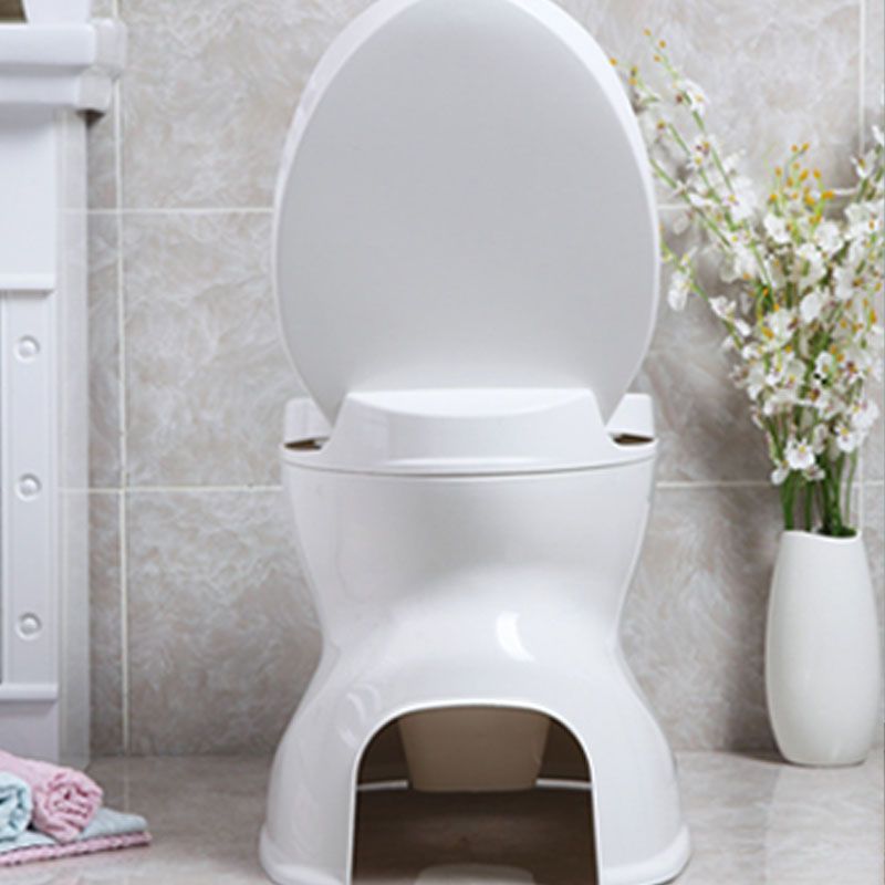 Modern Plastic Toilet Floor Mounted Toilet Bowl with Slow Close Seat for Bathroom Clearhalo 'Bathroom Remodel & Bathroom Fixtures' 'Home Improvement' 'home_improvement' 'home_improvement_toilets' 'Toilets & Bidets' 'Toilets' 1200x1200_53137ca0-6d59-4450-9d90-dd476cbbdc96