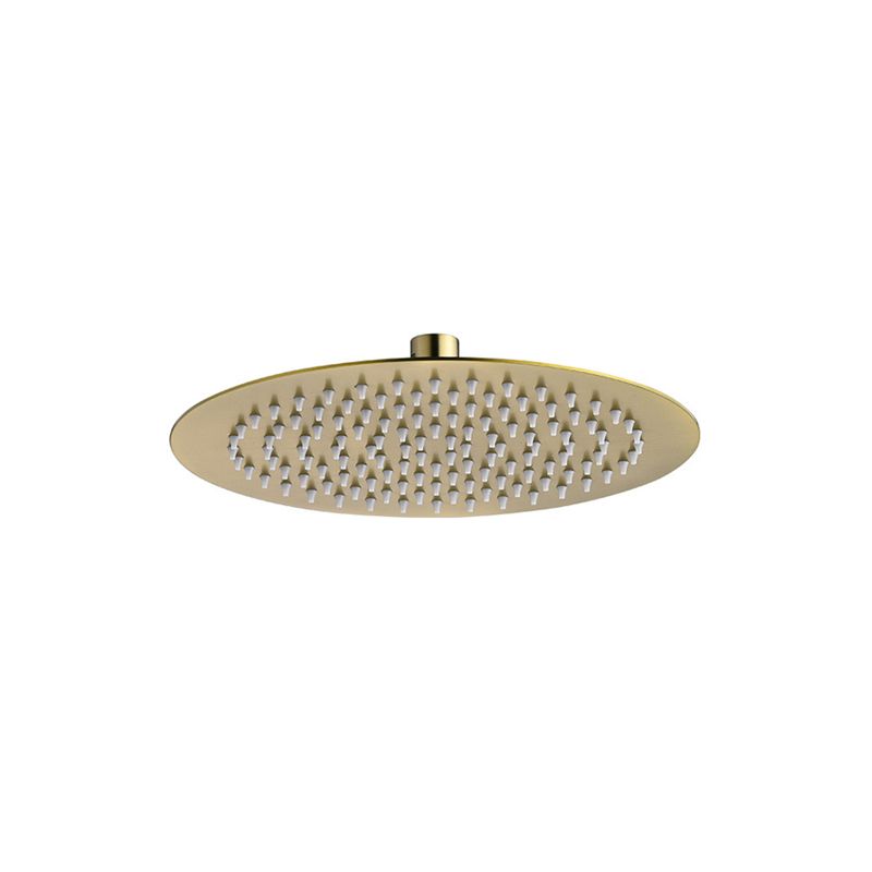 Polished Brass Round Fixed Shower Head Stainless Steel Wall-Mount Showerhead Clearhalo 'Bathroom Remodel & Bathroom Fixtures' 'Home Improvement' 'home_improvement' 'home_improvement_shower_heads' 'Shower Heads' 'shower_heads' 'Showers & Bathtubs Plumbing' 'Showers & Bathtubs' 1200x1200_53c7ccab-25a5-4194-b843-cbeec00b9807