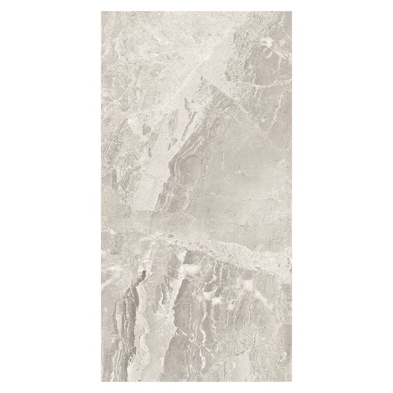 Marble Singular Tile Mirrored Rectangular Floor and Wall Tile Clearhalo 'Floor Tiles & Wall Tiles' 'floor_tiles_wall_tiles' 'Flooring 'Home Improvement' 'home_improvement' 'home_improvement_floor_tiles_wall_tiles' Walls and Ceiling' 1200x1200_55e3eba6-019a-4a0c-a514-04551e21a3aa