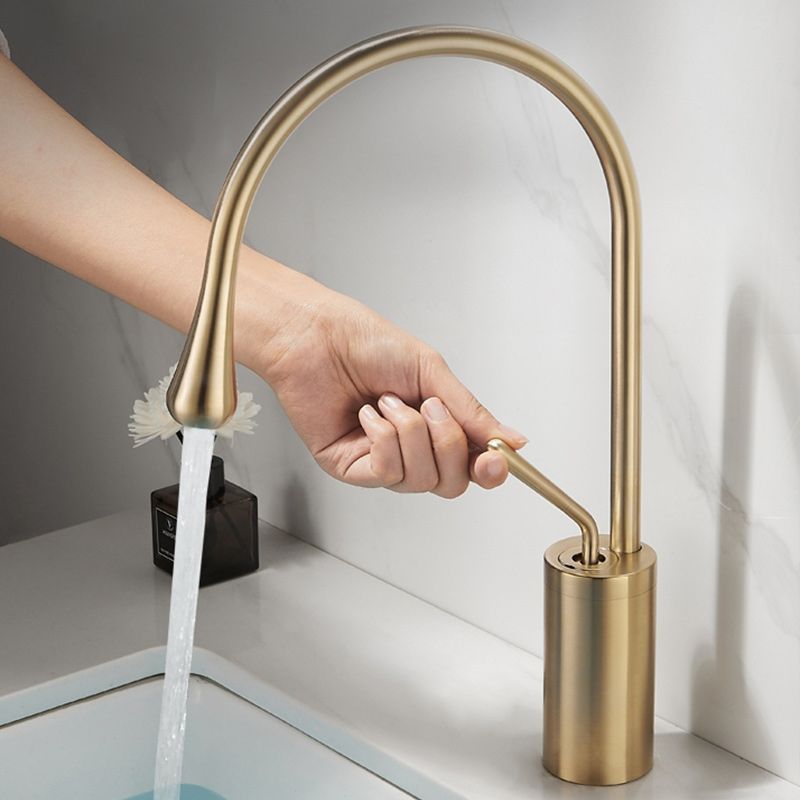 Luxury Circular Bathroom Sink Faucet with 1-Handle Brass Lavatory Faucet Clearhalo 'Accueil' 'Amélioration Domiciliaire' 'bathroom_sink_faucets' 'Ensembles de Lavabo & de Robinet de Toilette' 'home_improvement' 'home_improvement_bathroom_sink_faucets' 'Robinet de Lavabo de Salle de Bain' 'Rénovation et Équipement de Salle de Bain' 1200x1200_575aa739-3f66-44b0-ac56-6dcb3ef9bf8b