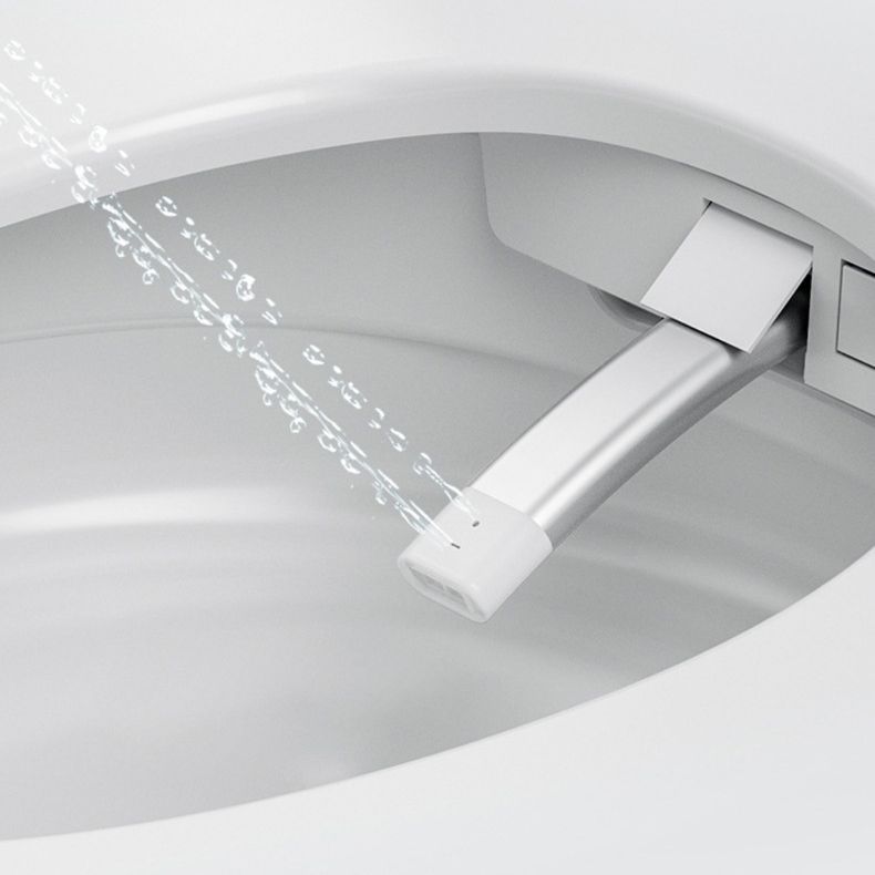 Modern 1-Piece Bidet Toilet Floor Mounted Toilet Bowl for Bathroom Clearhalo 'Bathroom Remodel & Bathroom Fixtures' 'Home Improvement' 'home_improvement' 'home_improvement_toilets' 'Toilets & Bidets' 'Toilets' 1200x1200_58cf0e35-3a90-4b33-a252-aef5e5b67ec9