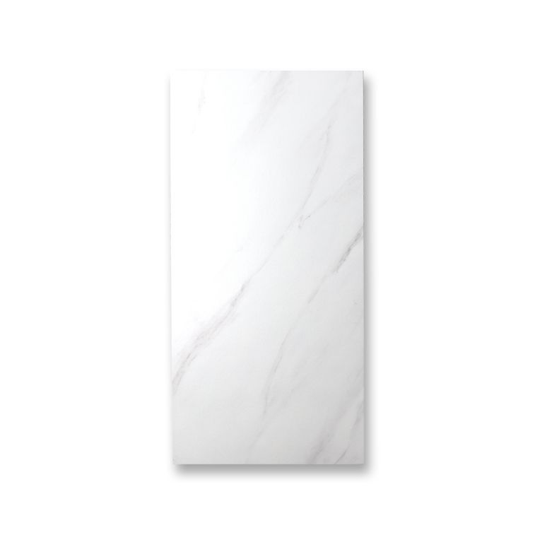 White Rectangular Singular Tile Matte Marble Tile for Home Decor Clearhalo 'Floor Tiles & Wall Tiles' 'floor_tiles_wall_tiles' 'Flooring 'Home Improvement' 'home_improvement' 'home_improvement_floor_tiles_wall_tiles' Walls and Ceiling' 1200x1200_59cac171-fb4e-4c69-ac8b-a0f466c9ac54