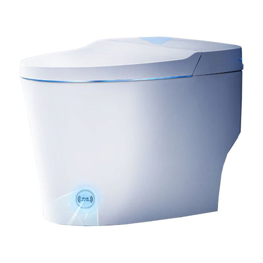 Vitreous China Smart Bidet Remote Control Included Floor Standing Bidet Clearhalo 'Bathroom Remodel & Bathroom Fixtures' 'Bidets' 'Home Improvement' 'home_improvement' 'home_improvement_bidets' 'Toilets & Bidets' 1200x1200_5a02c841-28cf-43d6-819b-24ae100d1504