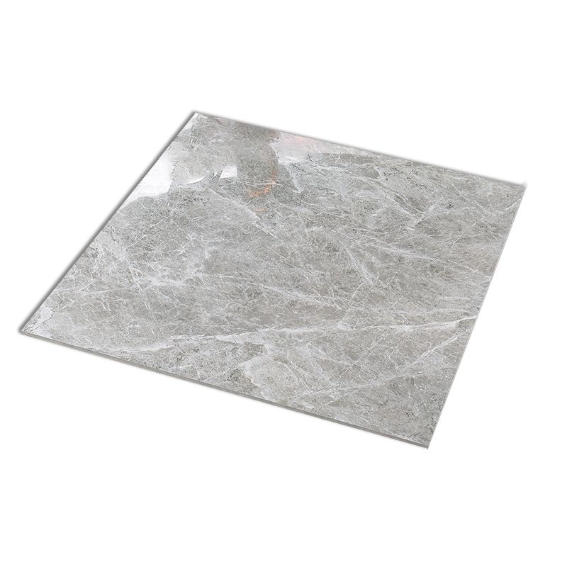 31.5" X 31.5" Square Tile Texture Pattern Straight Edge Glazed Design Floor Tile Clearhalo 'Floor Tiles & Wall Tiles' 'floor_tiles_wall_tiles' 'Flooring 'Home Improvement' 'home_improvement' 'home_improvement_floor_tiles_wall_tiles' Walls and Ceiling' 1200x1200_5a60ec3d-8edd-4cb0-aabc-4792b5bc92a7