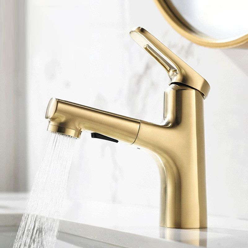 Contemporary Copper Vessel Faucet Lever Handles Retractable Low Arc Vessel Faucet Clearhalo 'Bathroom Remodel & Bathroom Fixtures' 'Bathroom Sink Faucets' 'Bathroom Sinks & Faucet Components' 'bathroom_sink_faucets' 'Home Improvement' 'home_improvement' 'home_improvement_bathroom_sink_faucets' 1200x1200_5c70aa86-7fdc-4a8c-b084-17da9b7cbe63