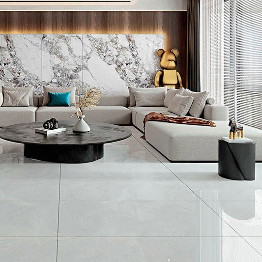 Floor Tile Marble Print Rectangle Living Room Porcelain Tile Clearhalo 'Floor Tiles & Wall Tiles' 'floor_tiles_wall_tiles' 'Flooring 'Home Improvement' 'home_improvement' 'home_improvement_floor_tiles_wall_tiles' Walls and Ceiling' 1200x1200_5cf5fb06-8a77-41a0-8b6b-2b77fc0949d3