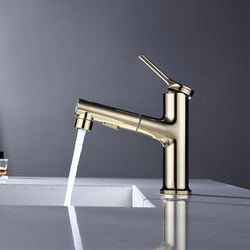 Contemporary Single Handle Faucet Pull-out Sink Faucet with Lever Handle Clearhalo 'Bathroom Remodel & Bathroom Fixtures' 'Bathroom Sink Faucets' 'Bathroom Sinks & Faucet Components' 'bathroom_sink_faucets' 'Home Improvement' 'home_improvement' 'home_improvement_bathroom_sink_faucets' 1200x1200_5f5995c4-d5d6-49f9-a2f1-b308ab30ab9c