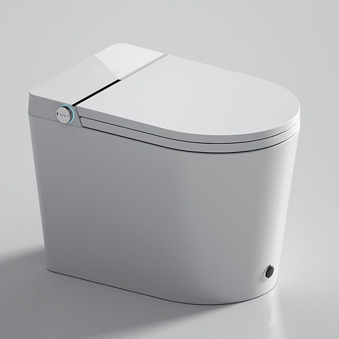 Temperature Control Elongated Seat Bidet in White All-In-One Smart Bidet with Heated Seat Clearhalo 'Bathroom Remodel & Bathroom Fixtures' 'Bidets' 'Home Improvement' 'home_improvement' 'home_improvement_bidets' 'Toilets & Bidets' 1200x1200_6209ede3-f1ee-4e02-9734-7f8bdfd4e0f8