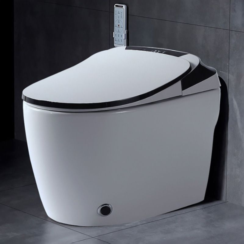 16.5" W Elongated All-in-One Toilet Seat Bidet with Wireless Remote Control Clearhalo 'Bathroom Remodel & Bathroom Fixtures' 'Bidets' 'Home Improvement' 'home_improvement' 'home_improvement_bidets' 'Toilets & Bidets' 1200x1200_6295aec9-5ab0-4da0-8323-6efbf25eb37c
