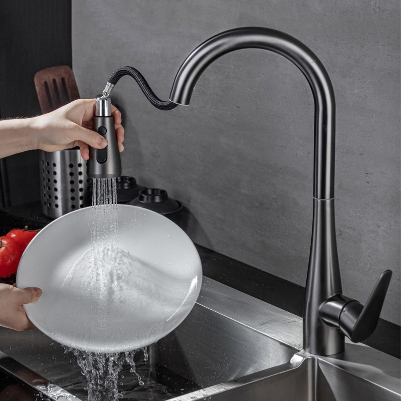 Modern 1-Handle Kitchen Faucet Stainless Steel Standard Kitchen Faucet Clearhalo 'Home Improvement' 'home_improvement' 'home_improvement_kitchen_faucets' 'Kitchen Faucets' 'Kitchen Remodel & Kitchen Fixtures' 'Kitchen Sinks & Faucet Components' 'kitchen_faucets' 1200x1200_62f17dd7-bb67-48fb-84f0-43eb47c6b578