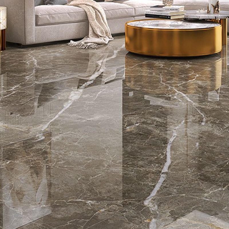 Rectangle Floor Tile Straight Edge Polished Design Floor Tile for Living Room Clearhalo 'Floor Tiles & Wall Tiles' 'floor_tiles_wall_tiles' 'Flooring 'Home Improvement' 'home_improvement' 'home_improvement_floor_tiles_wall_tiles' Walls and Ceiling' 1200x1200_65976b04-4c11-4bad-9771-1de5e99d75ca