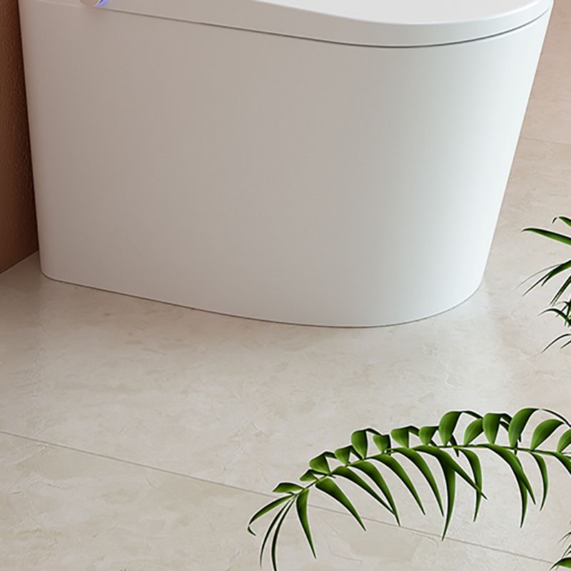 Modern Floor Standing Bidet Elongated Antimicrobial Floor Mount Bidet Clearhalo 'Bathroom Remodel & Bathroom Fixtures' 'Bidets' 'Home Improvement' 'home_improvement' 'home_improvement_bidets' 'Toilets & Bidets' 1200x1200_68a1554a-7b76-41c7-8988-9d564b3f84c5