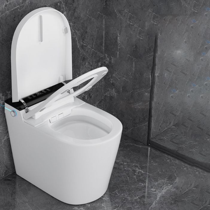 Elongated All-in-One Bidet Toilet Seat with Unlimited Warm Water Clearhalo 'Bathroom Remodel & Bathroom Fixtures' 'Bidets' 'Home Improvement' 'home_improvement' 'home_improvement_bidets' 'Toilets & Bidets' 1200x1200_69a6098b-8a54-448c-a02f-33d27ac3c532