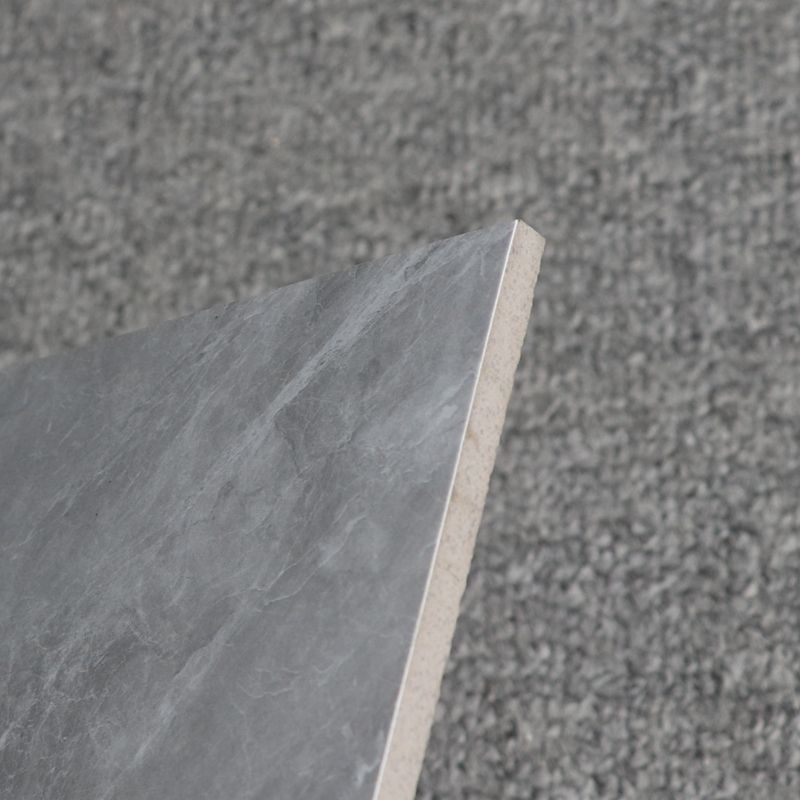 Gray Singular Tile Marble Appearance Straight Edge Rectangular Floor Tile Clearhalo 'Floor Tiles & Wall Tiles' 'floor_tiles_wall_tiles' 'Flooring 'Home Improvement' 'home_improvement' 'home_improvement_floor_tiles_wall_tiles' Walls and Ceiling' 1200x1200_69cad551-c4bc-4213-b18d-916187bd326d