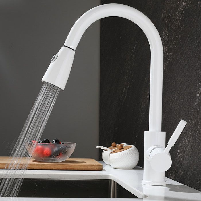 1-Hole Kitchen Faucet Pull down Sprayer Kitchen Faucet with Single Lever Handle Clearhalo 'Home Improvement' 'home_improvement' 'home_improvement_kitchen_faucets' 'Kitchen Faucets' 'Kitchen Remodel & Kitchen Fixtures' 'Kitchen Sinks & Faucet Components' 'kitchen_faucets' 1200x1200_69d088e8-4139-4052-9cc7-da068459ee3e