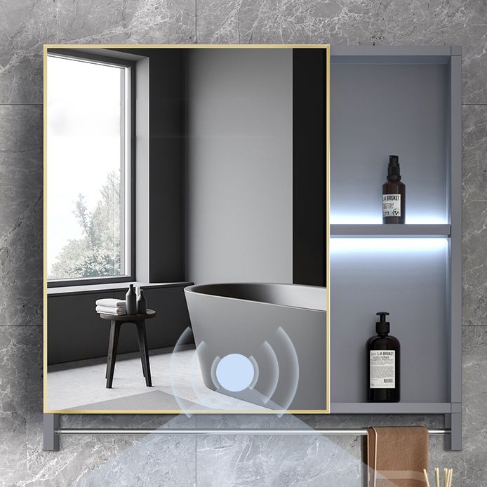Metal Frame Vanity Grey Single Sink Rectangular Freestanding Mirror Vanity with Doors Clearhalo 'Bathroom Remodel & Bathroom Fixtures' 'Bathroom Vanities' 'bathroom_vanities' 'Home Improvement' 'home_improvement' 'home_improvement_bathroom_vanities' 1200x1200_6ecbe3e4-6357-4f65-b636-e09bfa69e6ba
