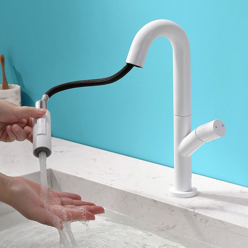 High-Arc Modern Style Bathroom Faucet Single Handle Pull-out Faucet Clearhalo 'Home Improvement' 'home_improvement' 'home_improvement_kitchen_faucets' 'Kitchen Faucets' 'Kitchen Remodel & Kitchen Fixtures' 'Kitchen Sinks & Faucet Components' 'kitchen_faucets' 1200x1200_7007a814-e247-478f-8569-ec213b531c1a
