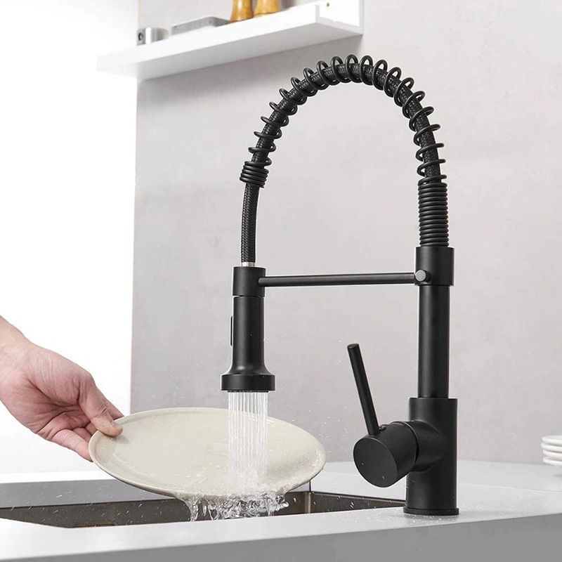 Modern Farmhouse Spring Spout Water Filler One Handle High Arch Kitchen Standard Faucet Clearhalo 'Home Improvement' 'home_improvement' 'home_improvement_kitchen_faucets' 'Kitchen Faucets' 'Kitchen Remodel & Kitchen Fixtures' 'Kitchen Sinks & Faucet Components' 'kitchen_faucets' 1200x1200_703559c7-d93a-4766-94ba-3583683df96b