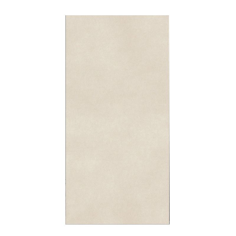 Retangular Porcelain Singular Tile Matte Singular Tile for Floor (2-Pack) Clearhalo 'Floor Tiles & Wall Tiles' 'floor_tiles_wall_tiles' 'Flooring 'Home Improvement' 'home_improvement' 'home_improvement_floor_tiles_wall_tiles' Walls and Ceiling' 1200x1200_7541e755-7be5-420e-98af-93d7a1bd832e