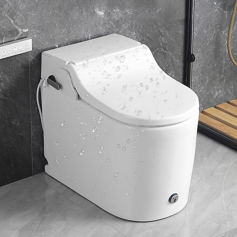 Elongated All-In-One Bidet Floor Mount Bidet without Water Pressure Control Clearhalo 'Bathroom Remodel & Bathroom Fixtures' 'Bidets' 'Home Improvement' 'home_improvement' 'home_improvement_bidets' 'Toilets & Bidets' 1200x1200_7861af9d-cec0-4790-99ce-2f9cc4da4c9e