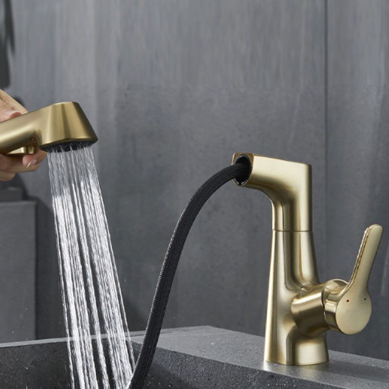 Modern Vessel Sink Faucet Brass Lever Handles Swivel Spout Bathroom Vessel Faucet Clearhalo 'bathroom_sink_faucets' 'Conjuntos de Torneiras de Lavatório e Banheiro' 'home_improvement' 'home_improvement_bathroom_sink_faucets' 'Mobiliário Doméstico' 'Página inicial' 'Renovação e equipamento de casa de banho' 'Torneira para lavatório de banheiro' 1200x1200_7b7e04c8-acdd-4a88-a961-484fe5d504e9