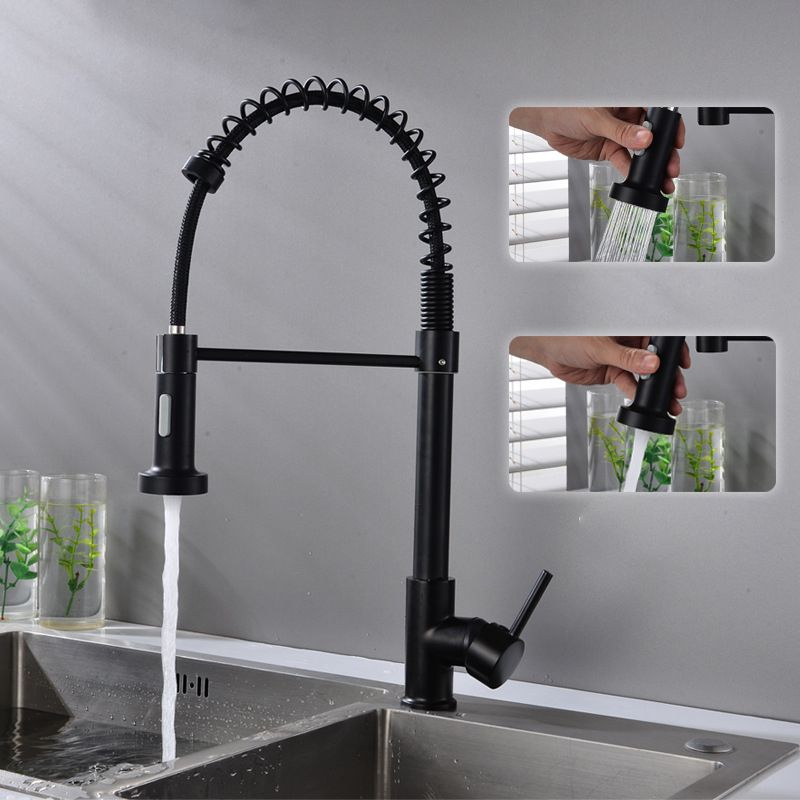 Modern Spring Spout Faucets 1-Handle with Water Dispenser Standard Kitchen Faucets Clearhalo 'Home Improvement' 'home_improvement' 'home_improvement_kitchen_faucets' 'Kitchen Faucets' 'Kitchen Remodel & Kitchen Fixtures' 'Kitchen Sinks & Faucet Components' 'kitchen_faucets' 1200x1200_7f9f8059-0f20-4e2b-baea-054939dbff1d