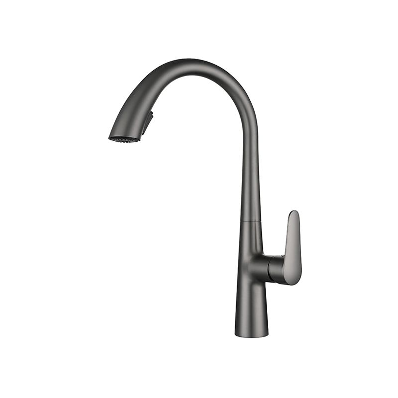 Modern Pot Filler Kitchen Faucet Brass Lever Handles Pull out Faucet Kitchen Faucet Clearhalo 'Home Improvement' 'home_improvement' 'home_improvement_kitchen_faucets' 'Kitchen Faucets' 'Kitchen Remodel & Kitchen Fixtures' 'Kitchen Sinks & Faucet Components' 'kitchen_faucets' 1200x1200_807dd135-ec92-40b0-b93f-3e4e457f906e