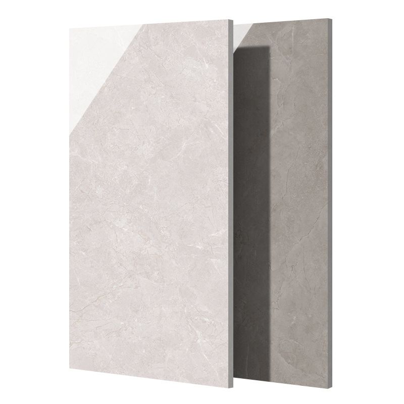 Floor Wall Tile Indoor Polished Marble Print Living Room Ceramic Tile Clearhalo 'Floor Tiles & Wall Tiles' 'floor_tiles_wall_tiles' 'Flooring 'Home Improvement' 'home_improvement' 'home_improvement_floor_tiles_wall_tiles' Walls and Ceiling' 1200x1200_85e95f4c-8554-4e38-a32b-65409d917d26