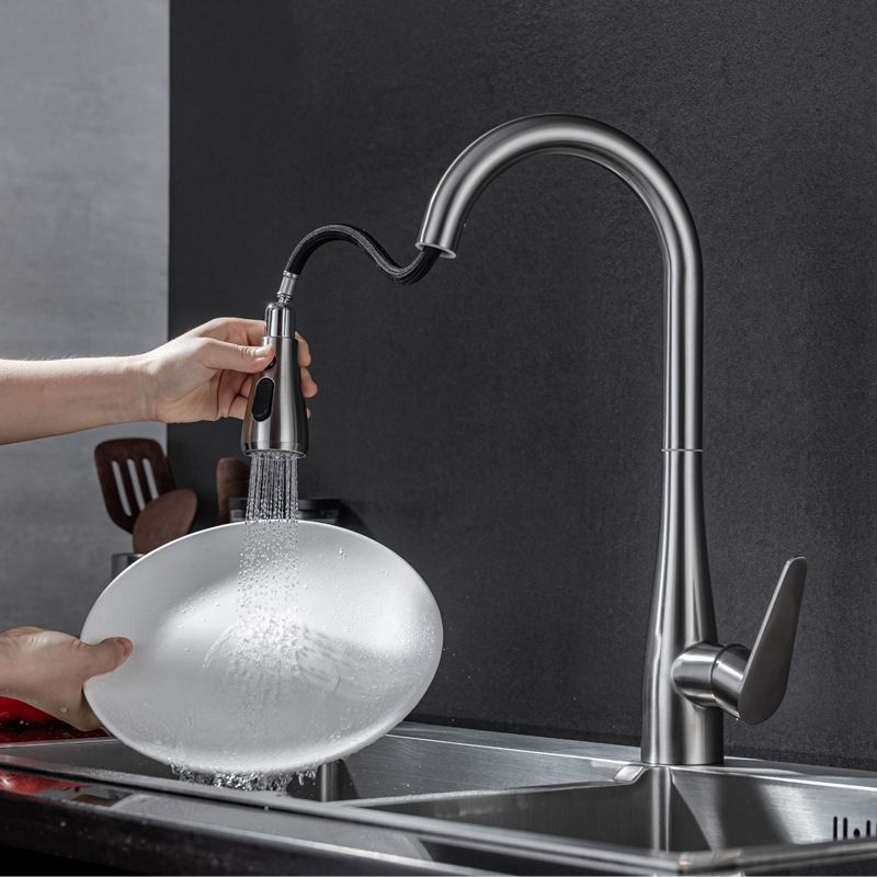Modern 1-Handle Kitchen Faucet Stainless Steel Standard Kitchen Faucet Clearhalo 'Home Improvement' 'home_improvement' 'home_improvement_kitchen_faucets' 'Kitchen Faucets' 'Kitchen Remodel & Kitchen Fixtures' 'Kitchen Sinks & Faucet Components' 'kitchen_faucets' 1200x1200_86a0270f-b378-4150-8841-4ea2fe983a64