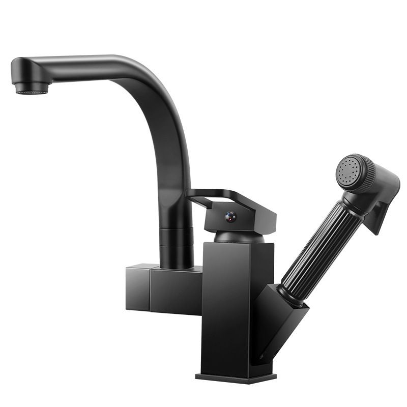 Traditional 1-Handle Faucet with Water Dispenser Standard Kitchen Faucet Clearhalo 'Home Improvement' 'home_improvement' 'home_improvement_kitchen_faucets' 'Kitchen Faucets' 'Kitchen Remodel & Kitchen Fixtures' 'Kitchen Sinks & Faucet Components' 'kitchen_faucets' 1200x1200_87fc764e-9558-46b0-89e4-d7e1c739a115