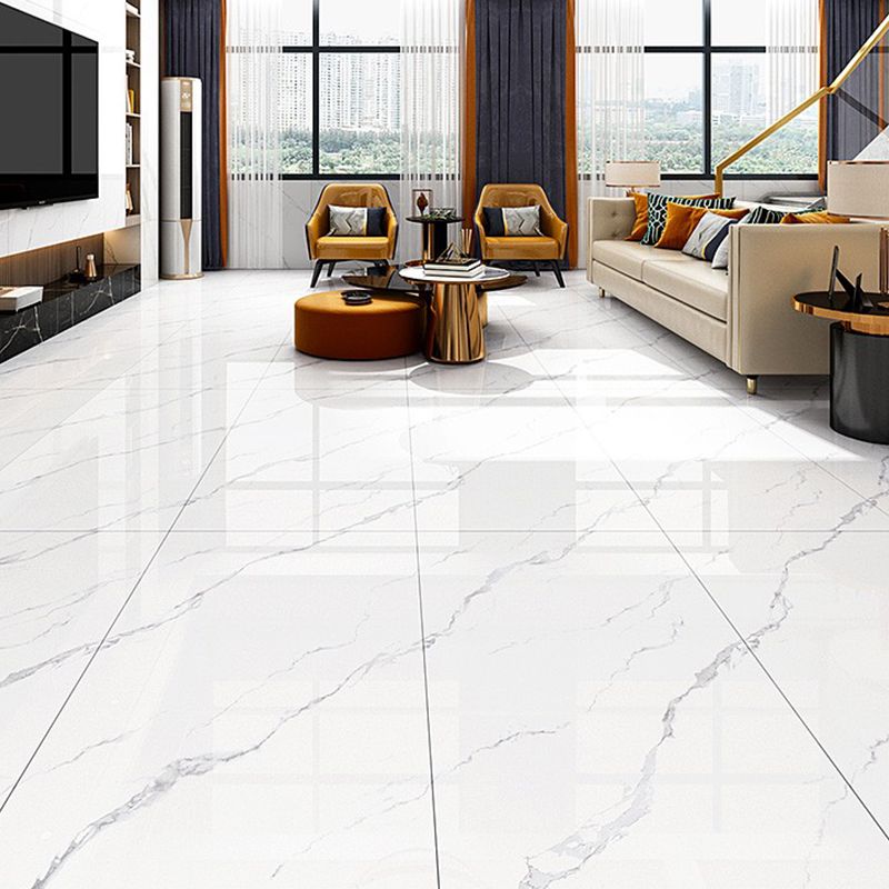 Texture Pattern Indoor Floor Tile Straight Edge Glazed Design Floor Tile Clearhalo 'Floor Tiles & Wall Tiles' 'floor_tiles_wall_tiles' 'Flooring 'Home Improvement' 'home_improvement' 'home_improvement_floor_tiles_wall_tiles' Walls and Ceiling' 1200x1200_8b1212f1-ff69-409e-b2eb-77f8b14e7543