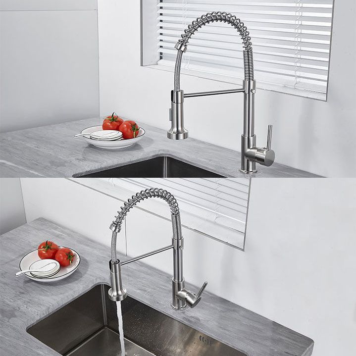 1-Handle Faucets with Water Dispenser Spring Spout Standard Kitchen Faucets Clearhalo 'Home Improvement' 'home_improvement' 'home_improvement_kitchen_faucets' 'Kitchen Faucets' 'Kitchen Remodel & Kitchen Fixtures' 'Kitchen Sinks & Faucet Components' 'kitchen_faucets' 1200x1200_8b26f484-a6eb-4840-9442-b66e45674bf4