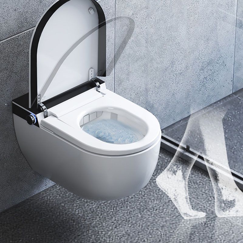 Electronic Elongated Toilet Vitreous China Wall Mounted Bidet Clearhalo 'Bathroom Remodel & Bathroom Fixtures' 'Bidets' 'Home Improvement' 'home_improvement' 'home_improvement_bidets' 'Toilets & Bidets' 1200x1200_8e4e706a-2182-42b5-97f3-9495ef40ed39