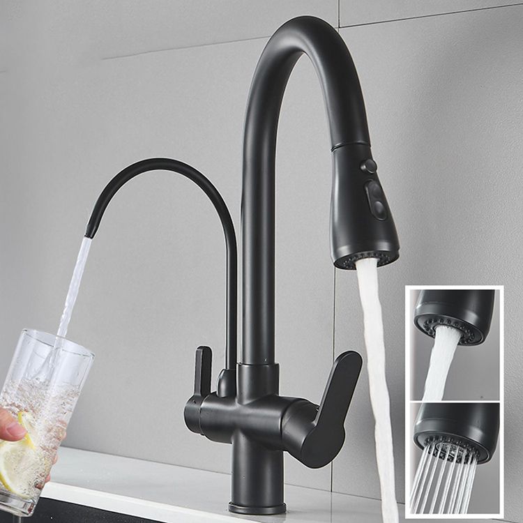 Contemporary Two Handles Kitchen Faucet Double Faucet 1-Hold Faucet Clearhalo 'Home Improvement' 'home_improvement' 'home_improvement_kitchen_faucets' 'Kitchen Faucets' 'Kitchen Remodel & Kitchen Fixtures' 'Kitchen Sinks & Faucet Components' 'kitchen_faucets' 1200x1200_9048ac9f-87b1-439c-8f90-9df495502e07