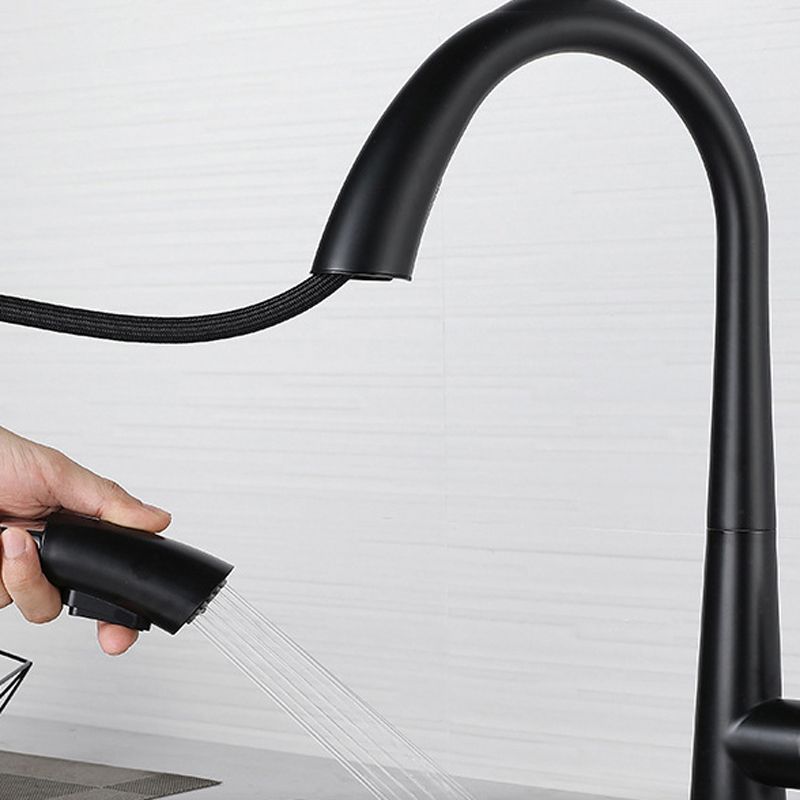 Modern Style Kitchen Faucet 304 Stainless Steel Single Handle Gooseneck Kitchen Faucet Clearhalo 'Home Improvement' 'home_improvement' 'home_improvement_kitchen_faucets' 'Kitchen Faucets' 'Kitchen Remodel & Kitchen Fixtures' 'Kitchen Sinks & Faucet Components' 'kitchen_faucets' 1200x1200_908155fe-b57d-4d66-905e-d0e59f246d3e