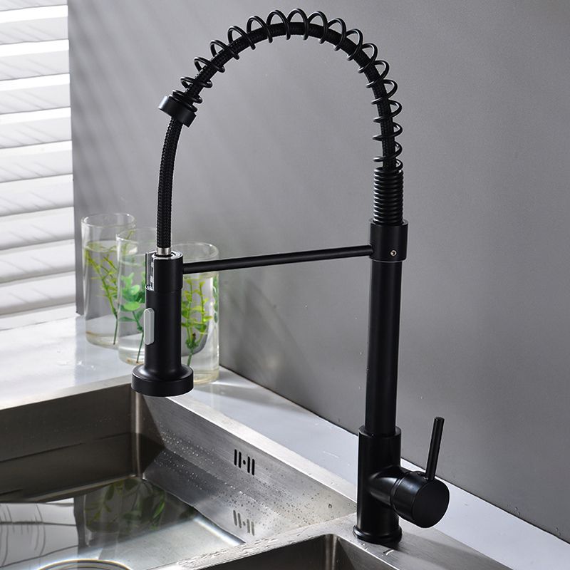 Modern Spring Spout Faucets 1-Handle with Water Dispenser Standard Kitchen Faucets Clearhalo 'Home Improvement' 'home_improvement' 'home_improvement_kitchen_faucets' 'Kitchen Faucets' 'Kitchen Remodel & Kitchen Fixtures' 'Kitchen Sinks & Faucet Components' 'kitchen_faucets' 1200x1200_91839f5a-b46a-4319-b472-f1694574a70c