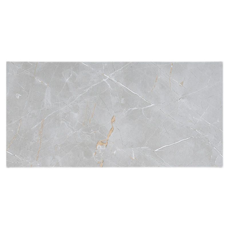 Stain Resistant Floor Tile Marble Pattern Rectangular Ceramic Non-Skid Floor Tile Clearhalo 'Floor Tiles & Wall Tiles' 'floor_tiles_wall_tiles' 'Flooring 'Home Improvement' 'home_improvement' 'home_improvement_floor_tiles_wall_tiles' Walls and Ceiling' 1200x1200_91a9b9cf-3d3d-4279-a12d-7546e93010e1