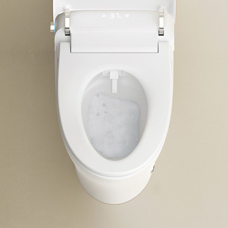 Modern Indoor Siphon Jet Toilet Bowl Floor Mounted All-In-One Toilet Clearhalo 'Bathroom Remodel & Bathroom Fixtures' 'Home Improvement' 'home_improvement' 'home_improvement_toilets' 'Toilets & Bidets' 'Toilets' 1200x1200_93a4cb6f-bde2-4fe7-9f35-0a6d4dba8f1a