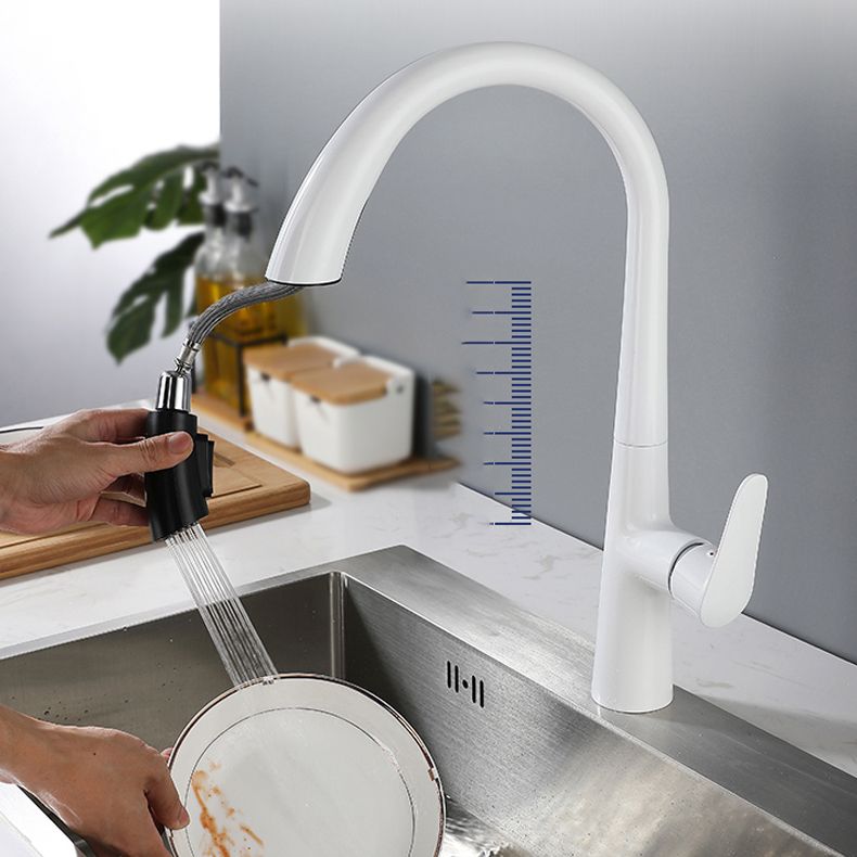 Modern Style Kitchen Faucet Gooseneck Standard Kitchen Faucet Clearhalo 'Home Improvement' 'home_improvement' 'home_improvement_kitchen_faucets' 'Kitchen Faucets' 'Kitchen Remodel & Kitchen Fixtures' 'Kitchen Sinks & Faucet Components' 'kitchen_faucets' 1200x1200_9902deb2-907b-4b81-85ba-350d7919e5e6