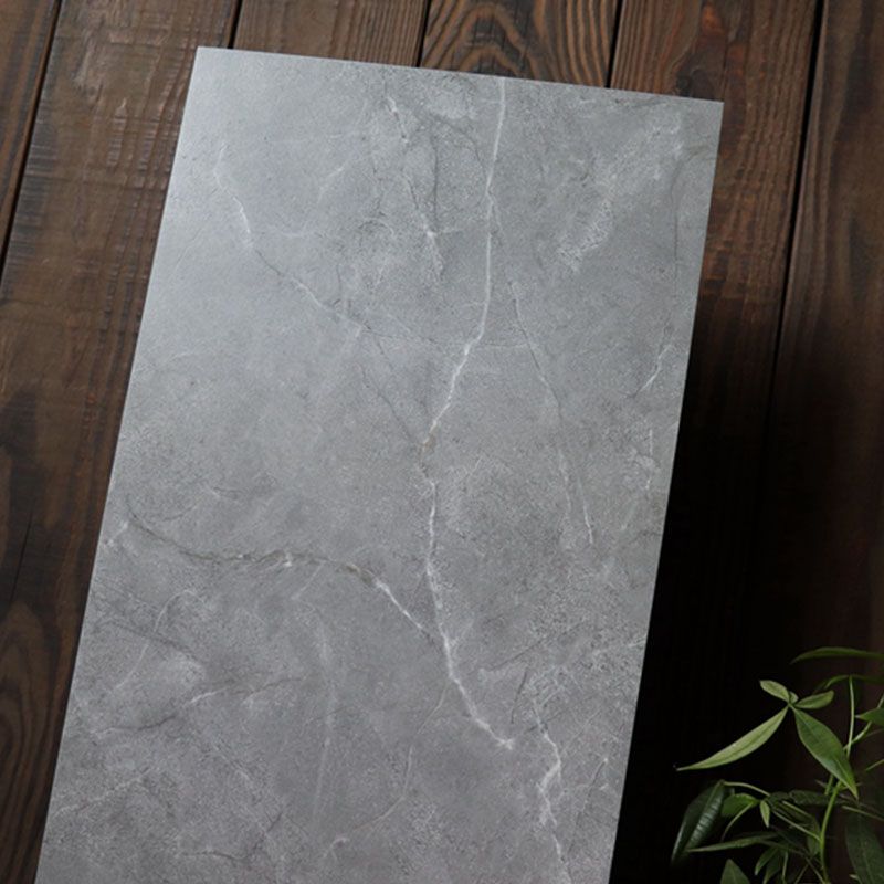 Gray Matte Singular Tile Marble Appearance Straight Edge Rectangular Floor Tile Clearhalo 'Floor Tiles & Wall Tiles' 'floor_tiles_wall_tiles' 'Flooring 'Home Improvement' 'home_improvement' 'home_improvement_floor_tiles_wall_tiles' Walls and Ceiling' 1200x1200_9bcd2dfb-9475-4496-8ca8-19ea4ad6750b