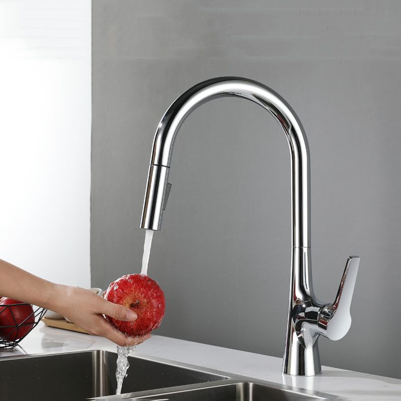 Contemporary Single Handle Standard Kitchen Faucet Pull Down 1-Hold Faucet Clearhalo 'Home Improvement' 'home_improvement' 'home_improvement_kitchen_faucets' 'Kitchen Faucets' 'Kitchen Remodel & Kitchen Fixtures' 'Kitchen Sinks & Faucet Components' 'kitchen_faucets' 1200x1200_9c5c488c-c6f6-49b7-ab09-2152f1b0d626