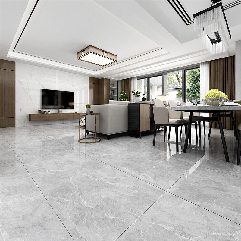 Rectangle Matte Singular Tile Marble Light Gray Tile for Home Decor Clearhalo 'Floor Tiles & Wall Tiles' 'floor_tiles_wall_tiles' 'Flooring 'Home Improvement' 'home_improvement' 'home_improvement_floor_tiles_wall_tiles' Walls and Ceiling' 1200x1200_a35ce8f9-ae09-4b11-8dec-da2eaa0406a8