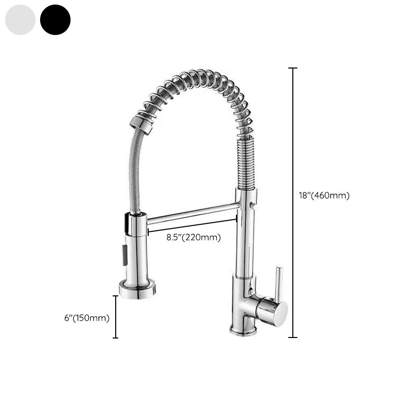 1-Handle Faucets with Water Dispenser Spring Spout Standard Kitchen Faucets Clearhalo 'Home Improvement' 'home_improvement' 'home_improvement_kitchen_faucets' 'Kitchen Faucets' 'Kitchen Remodel & Kitchen Fixtures' 'Kitchen Sinks & Faucet Components' 'kitchen_faucets' 1200x1200_a5172150-fad7-4434-948f-f464ba1774ff