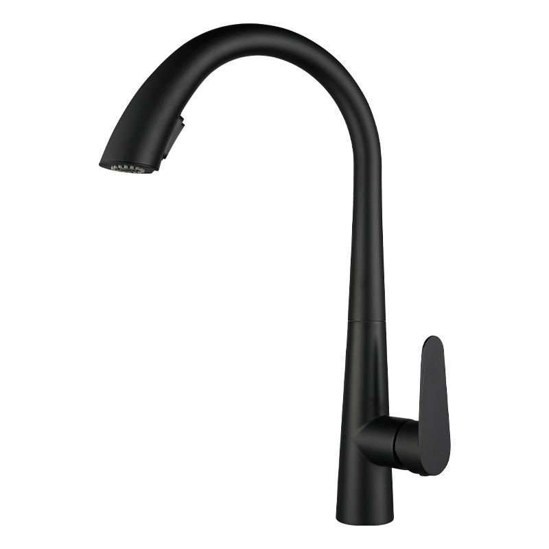 Modern Kitchen Faucet Stainless Steel Single Handle Retractable High Arc Kitchen Faucet Clearhalo 'Home Improvement' 'home_improvement' 'home_improvement_kitchen_faucets' 'Kitchen Faucets' 'Kitchen Remodel & Kitchen Fixtures' 'Kitchen Sinks & Faucet Components' 'kitchen_faucets' 1200x1200_a54ace88-8bd4-4037-ac9f-fb92b358b405