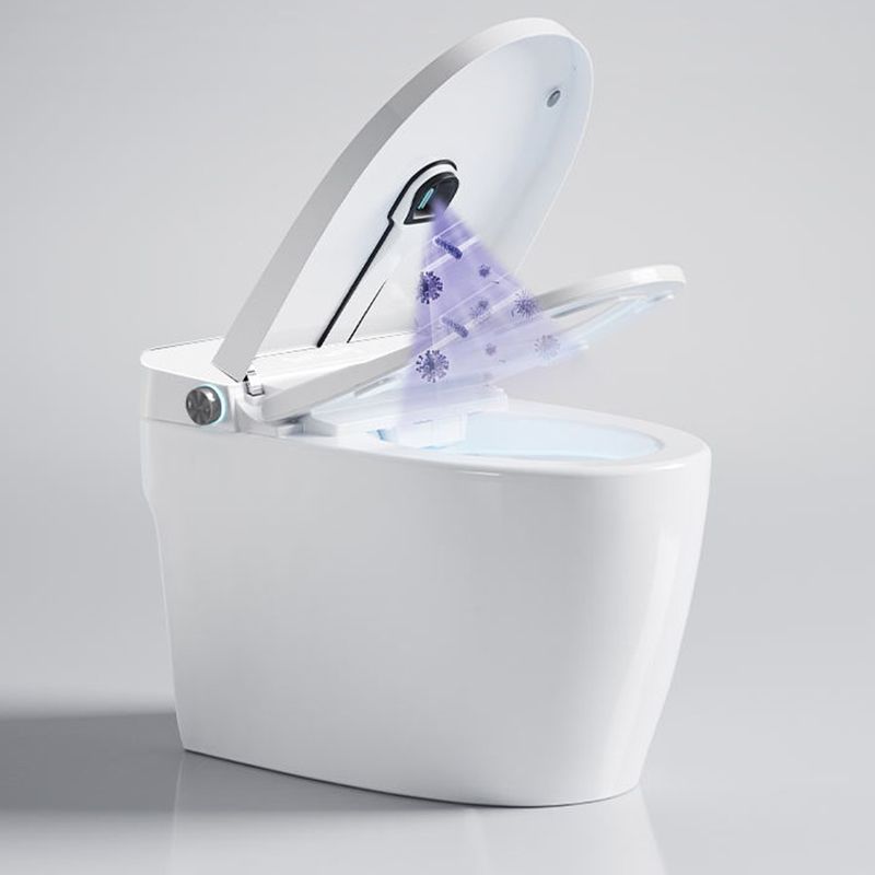 Elongated Vitreous China Bidet All-In-One Smart Toilet Seat Bidet Clearhalo 'Bathroom Remodel & Bathroom Fixtures' 'Bidets' 'Home Improvement' 'home_improvement' 'home_improvement_bidets' 'Toilets & Bidets' 1200x1200_a5b581e9-d3af-4732-b68a-3caf9280a320