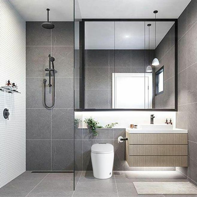 Modern Floor Mount Toilet Bowl Siphon Ceramic Toilet with Seat for Bathroom Clearhalo 'Bathroom Remodel & Bathroom Fixtures' 'Home Improvement' 'home_improvement' 'home_improvement_toilets' 'Toilets & Bidets' 'Toilets' 1200x1200_a6701045-e871-4c3d-9e6b-69da96daa515